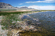 Pony Express Trail - Fish Springs National Wildlife Refuge - Water - Marsh