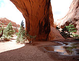 Arches National Park - Devils Garden Trail - Navajo Arch