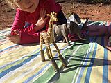 Camping near Hole in the Rock - Giraffe with Bullet Casing Boots (Photo by Laura)