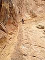 Little Wild Horse Canyon - Slot Canyon (Photo by Laura)