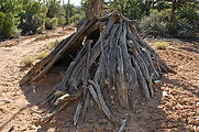 Lime Creek Watch Tower Ruin - Conical Wood Structure