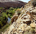 Hiking Back from Hobbs Wash Ruin - Butler Wash