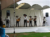 Wedding Reception - Mariachi Band
