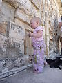 Lyra in Yucatan - Uxmal Ruin - Pyramid - Lyra Lyra in Yucatan - Uxmal Ruin - Pyramid - Lyra