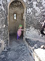 Lyra in Yucatan - Campeche - Wall - Lyra Lyra in Yucatan - Campeche - Wall - Lyra