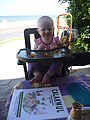 Lyra in Yucatan - Campeche - Restaurants North of Town along Shore - Calakmul - Lunch - Lyra Lyra in Yucatan - Campeche - Restaurants North of Town along Shore - Calakmul - Lunch - Lyra