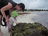 Lyra in Yucatan - Tulum - Tidepools - Beach - Laura - Lyra Lyra in Yucatan - Tulum - Tidepools - Beach - Laura - Lyra