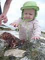 Lyra in Yucatan - Tulum - Tidepools - Beach - Lyra Lyra in Yucatan - Tulum - Tidepools - Beach - Lyra