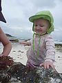 Lyra in Yucatan - Tulum - Tidepools - Beach - Lyra Lyra in Yucatan - Tulum - Tidepools - Beach - Lyra