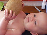 Lyra in Yucatan - Tulum - Hotel - Cabanas Tulum - Mamey Fruit - Lyra Lyra in Yucatan - Tulum - Hotel - Cabanas Tulum - Mamey Fruit - Lyra