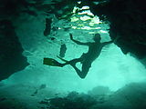 Yucatan - Tulum - Gran Cenote - Snorkeling - Mark