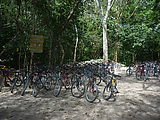 Yucatan - Coba - Ruin - Bicycles for Rent