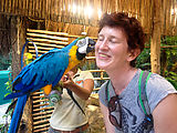 Puerto Morelos - Crococun Zoo - Parrot Kiss - Laura