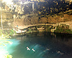 Valladolid - Cenote Zaci - Laura - Lyra - Swimming