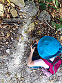 Ek Balam - Ruin - Ant Trail - Lyra (Photo by Laura)