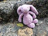 Ek Balam - Ruin - Bunny (Photo by Lyra)