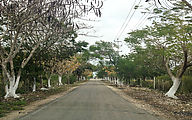 Dzilam Gonzalez - Road (Photo by Laura)