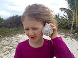 North Coast - Beach - West of Dzilam de Bravo - Beach - Lyra (Photo by Laura)