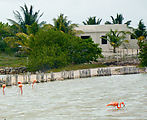 North Coast - Santa Clara - Flamingos (Photo by Laura)