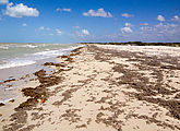 North Coast - Chelem - Chubumá - Beach